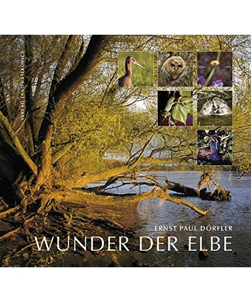 Wunder der Elbe