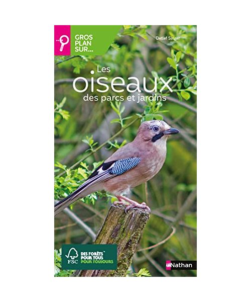 Gros plan sur les oiseaux des parcs et jardins