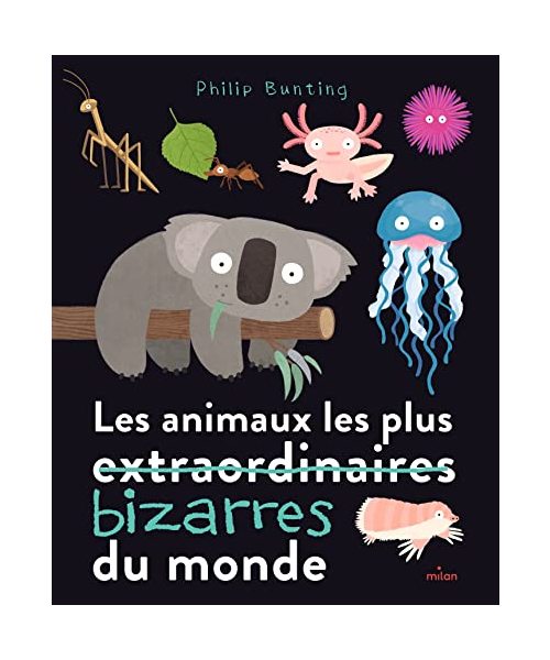 Les animaux les plus bizarres du monde