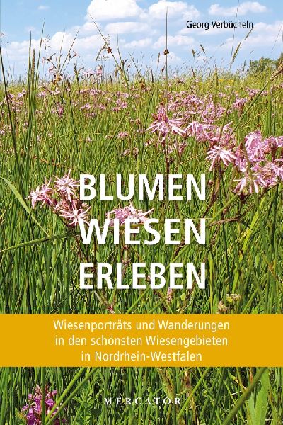 Blumen Wiesen Erleben