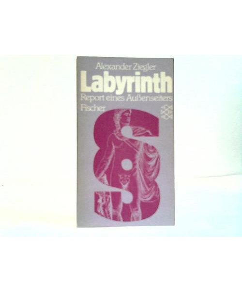 Das Labyrinth: Report eines Aussenseiters