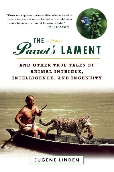 The Parrot's Lament