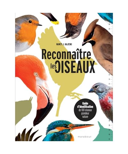 Reconnaître les oiseaux: Guide d identification de 100 oiseaux grandeur nature