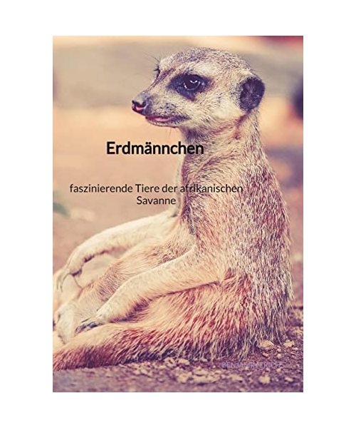Erdmännchen - faszinierende Tiere der afrikanischen Savanne