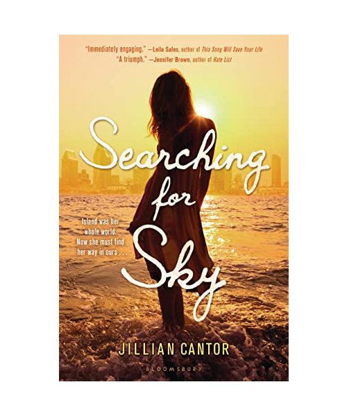 Searching for Sky