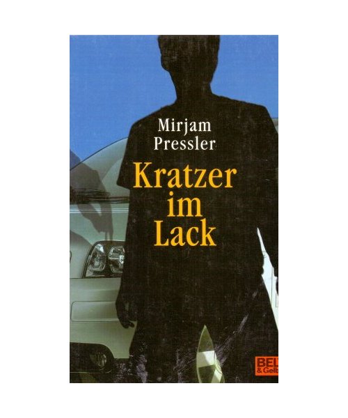 Kratzer im Lack