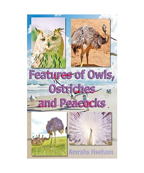 Features of Owls, Ostriches and Peacocks