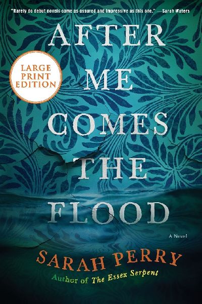 After Me Comes the Flood LP