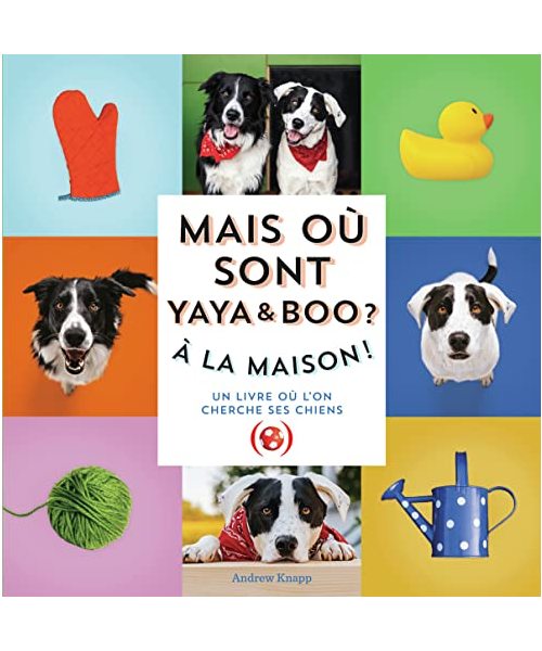 Mais où sont Yaya et Boo ?: À la maison !