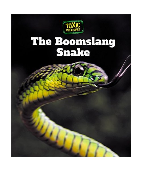 The Boomslang Snake