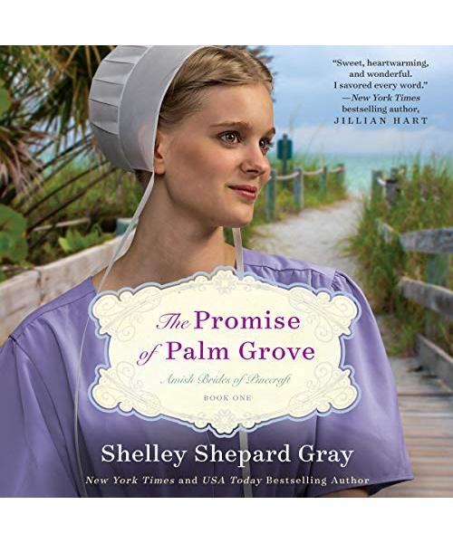 The Promise of Palm Grove (Amish Brides of Pinecraft, Band 1)