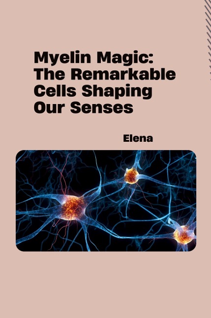 Myelin Magic: The Remarkable Cells Shaping Our Senses: DE