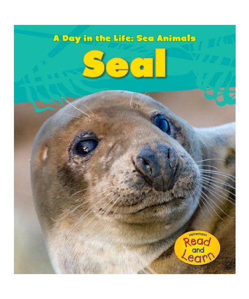 Seal