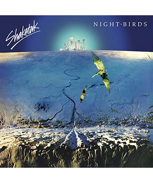 Night Birds [Vinyl LP]