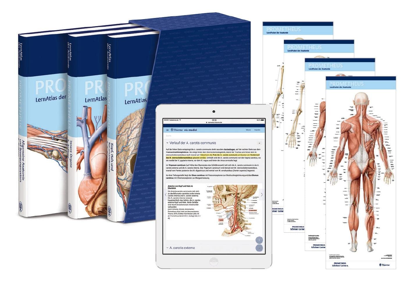 PROMETHEUS LernPaket Anatomie: LernAtlas Anatomie
