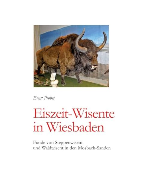 Eiszeit-Wisente in Wiesbaden