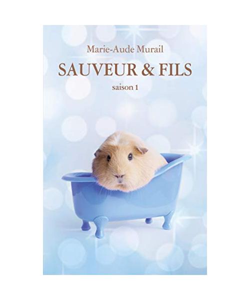 Sauveur et fils - Saison 01