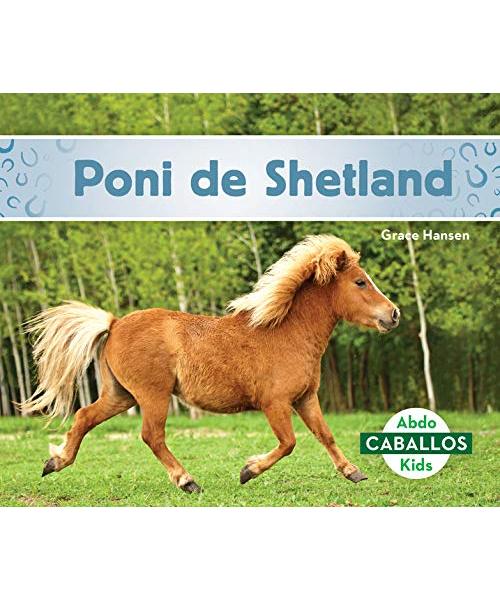 Poni de Shetland (Shetland Ponies)