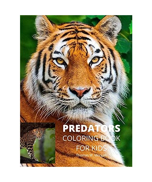 Predators Coloring Book for Kids: Wildlife Animal Coloring Book for Kids Ages 3 and Up Funny Learning Coloring and Activity Book for Boys, Girls and K