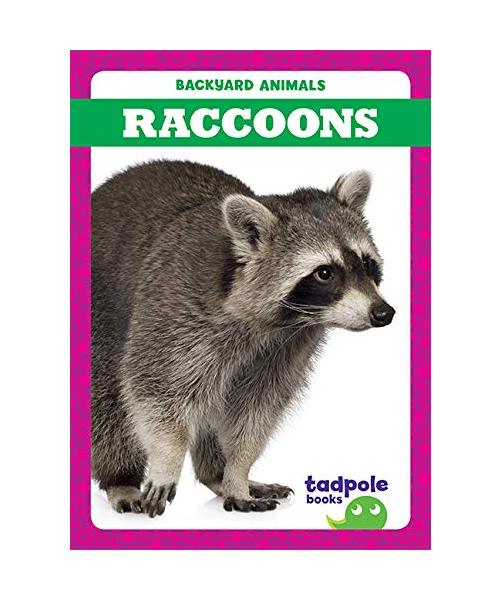 Raccoons