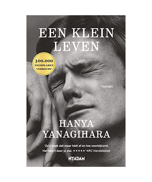 Een klein leven
