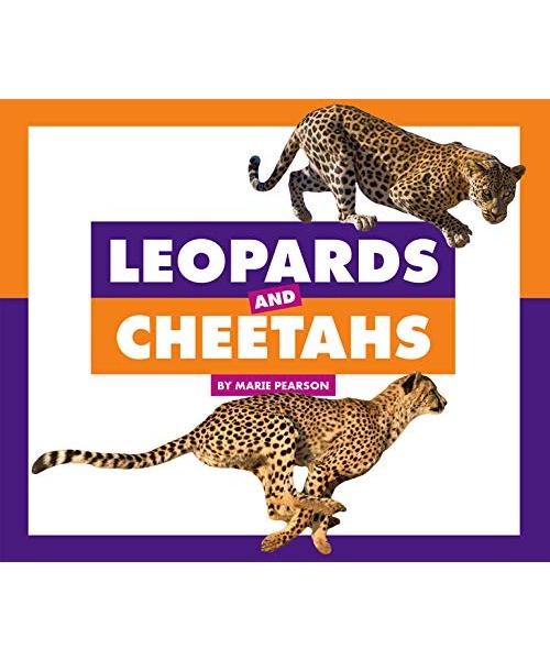Leopards and Cheetahs