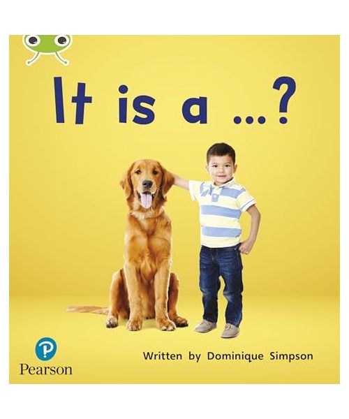 Bug Club Phonics - Phase 2 Unit 3: It is a ...?