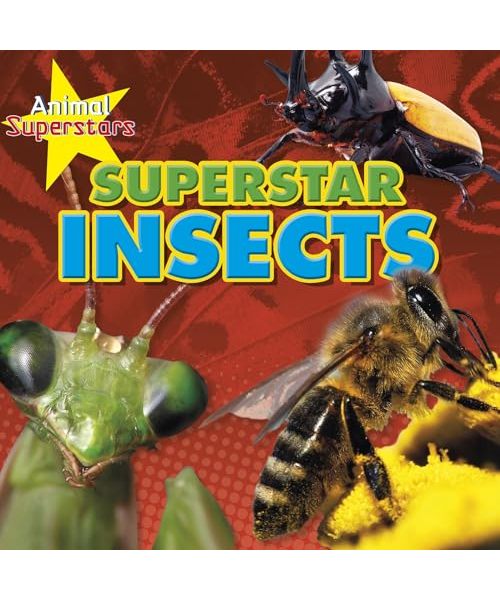 Insect Superstars