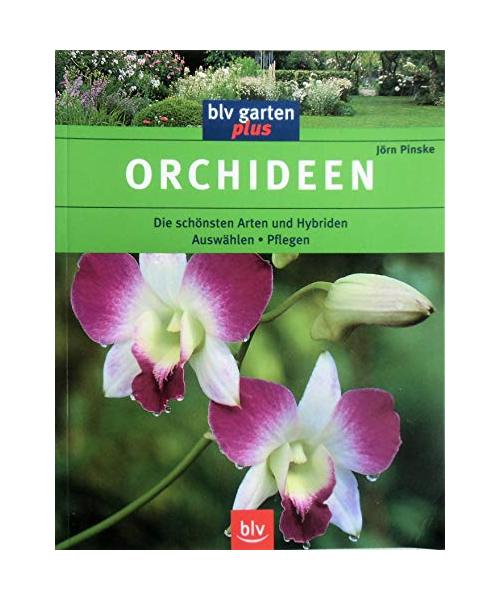 Orchideen