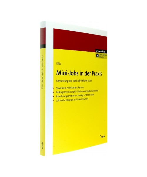 Mini-Jobs in der Praxis