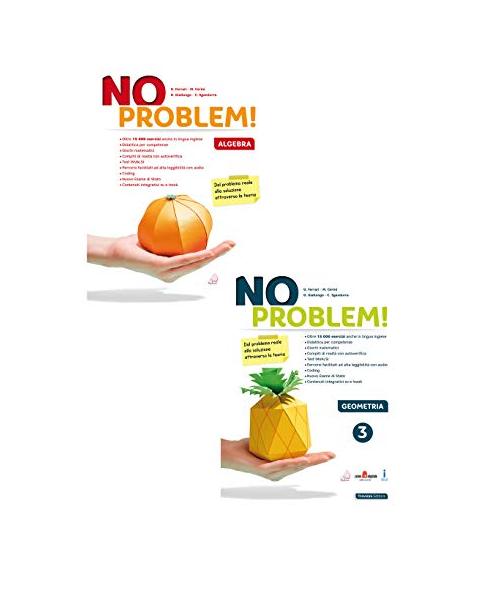 No problem! Per la Scuola media. Con e-book. Con espansione online. Algebra e Geometria (Vol. 3)