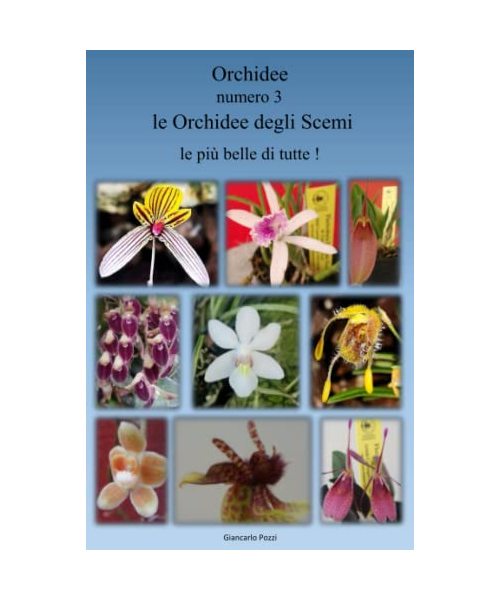 orchidee n° 3 LE ORCHIDEE DEGLI SCEMI: Le più belle di tutte (orchidee, una medicina per l'anima)