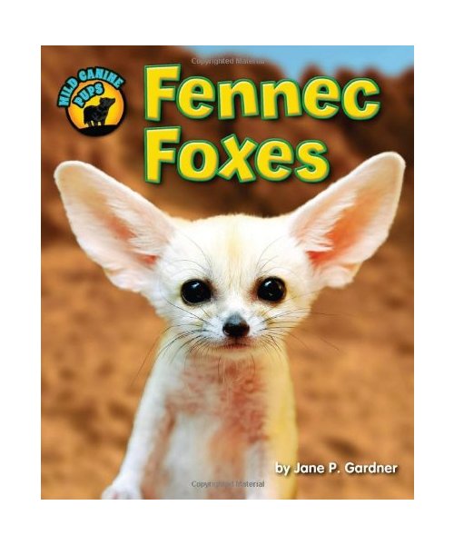 Fennec Foxes