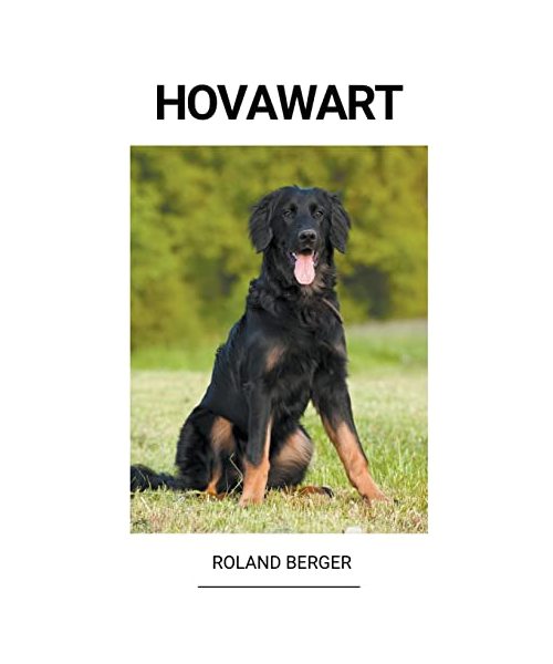 Hovawart