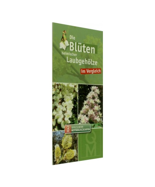 Die Blüten heimischer und kultivierter Laubgehölze im Vergleich