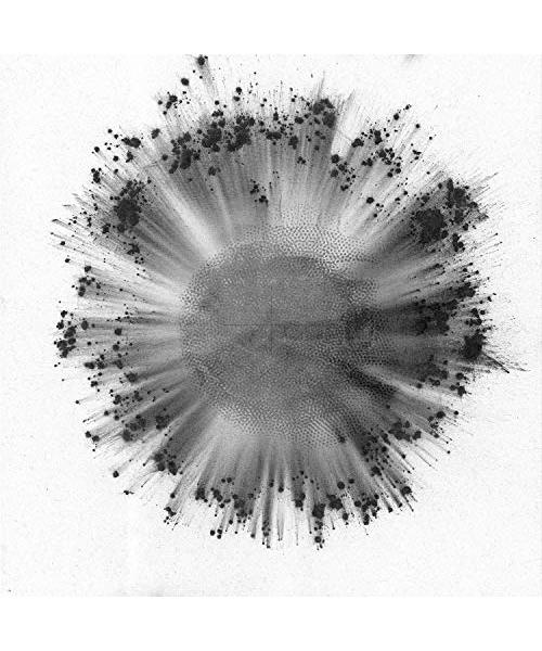 Obverse -Coloured- [Vinyl LP]