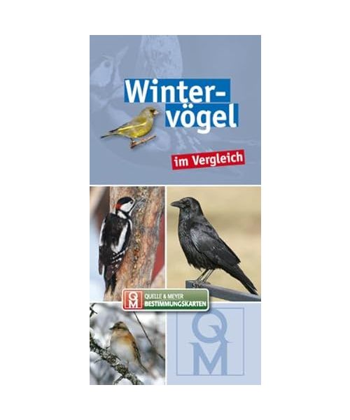 Wintervögel im Vergleich