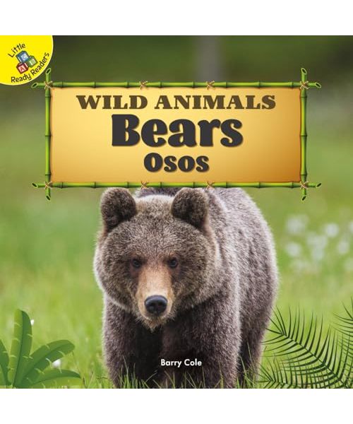 Bears: Osos