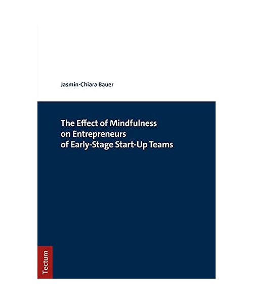 The Effect of Mindfulness on Entrepreneurs of Early-Stage Start-Up Teams