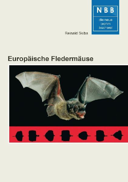 Europäische Fledermäuse