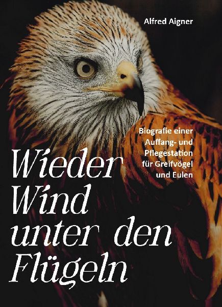 Wieder Wind unter den Flügeln