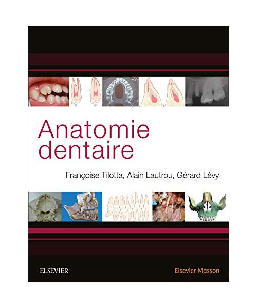 Anatomie Dentaire