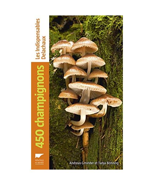 450 champignons
