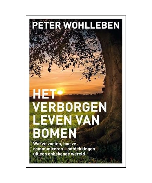 Het verborgen leven van bomen