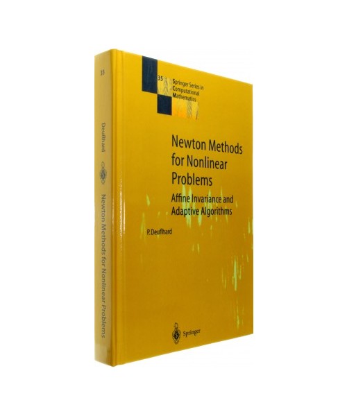 Newton Methods for Nonlinear Problems
