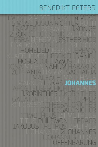 Kommentar zum Johannes-Evangelium