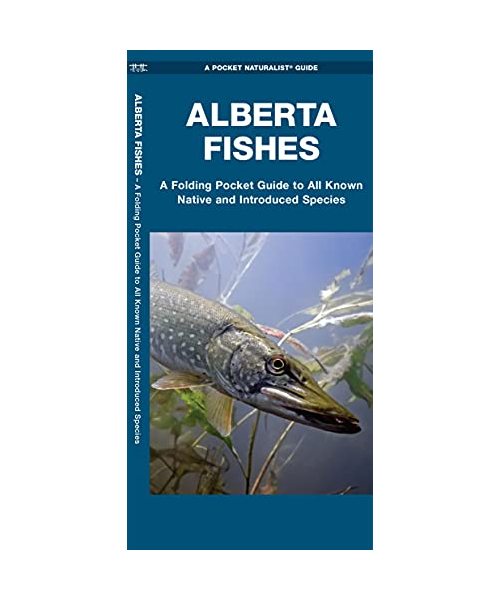 Alberta Fishes: A Folding Pocket Guide to All Known Native and Introduced Species