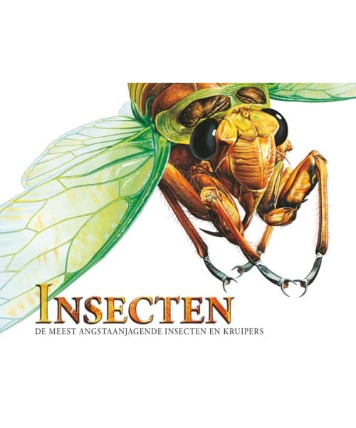 Insecten: de meest angstaanjagende insecten en kruipers