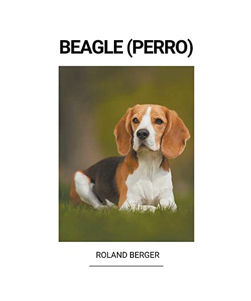 Beagle (Perro)