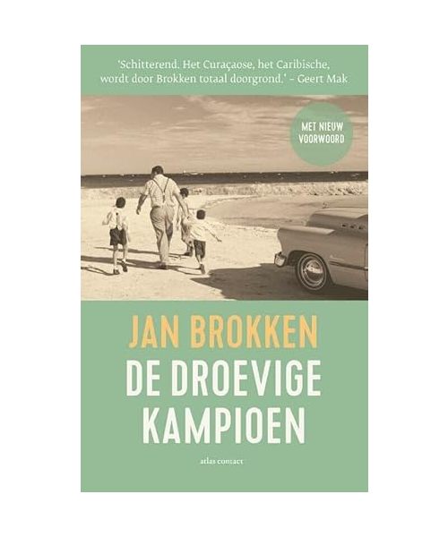 De droevige kampioen: roman